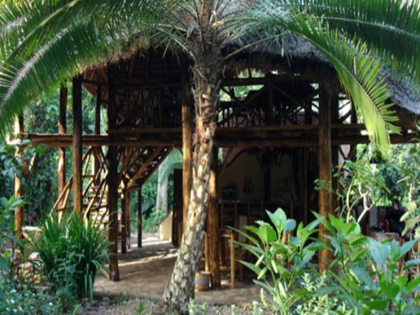 Kibale Forest Camp - exterior